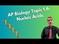 Nucleic Acids Structure and Function