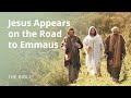 Understanding the Events in Jerusalem