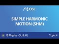 Simple Harmonic Motion Concepts