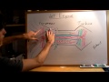 Turbine Engine Components and Functions