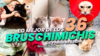 LO MEJOR DE LOS BRUSCHIMICHIS 36 - PABLO BRUSCHI