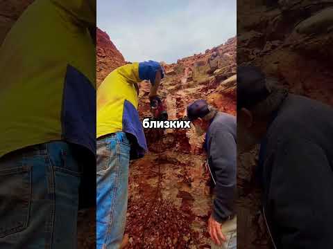 Что скрывал саркофаг с черной жидкостью