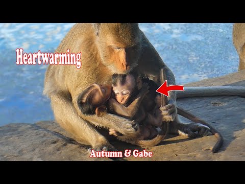 Amazing heartwarming fondness of Amara with adorable baby Autumn & Gabe | Carbzilla Family