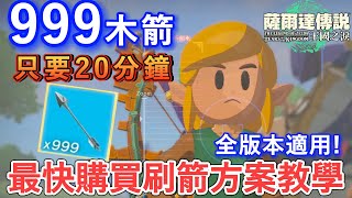 【薩爾達傳説 王國之淚】20分鐘速刷999箭方案  找到這個彈藥商就能實現！ 最速方法 無BUG | 百分百成功 全版本通用