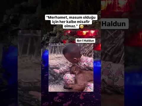 Merhamet her yรผreฤe nasip olmaz