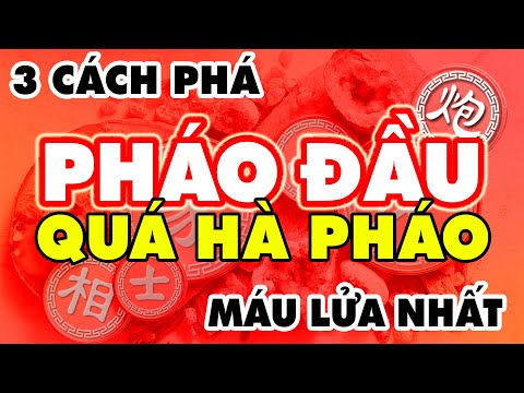 Học Luôn 3 Cách ĐI HẬU Phá PHÁO ĐẦU PHÁO QUÁ HÀ Máu Lửa Nhất ~ Cờ Tướng Khai Cuộc Đỉnh Cao Hay Nhất