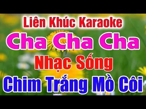 Liên Khúc Karaoke Tone Nữ – Chim Trắng Mồ Côi – Cha Cha Cha – Nhiều Bài Hay Dễ Hát – Lâm Organ