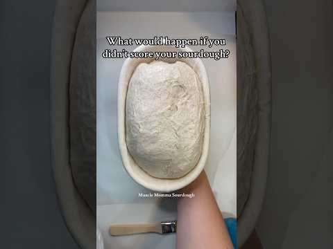 What happens when you don’t score your sourdough? Find out here!! #sourdoughscoring  #breadmaking