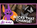 Metamorphic Rocks and Their Properties