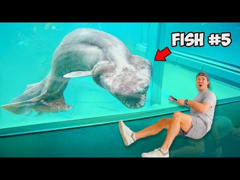 I Bought the 6 Strangest Fish You Should Never Buy Off The Internet…