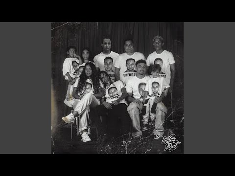 Lei Anti O.R.U.A.M