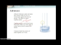 Properties and Behavior of Water
