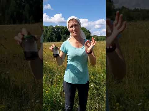 #shorts ЛУЧШЕЕ СРЕДСТВО ОТ КОМАРОВ МОШЕК СЛЕПНЕЙ