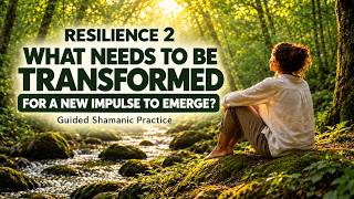 Resilience 2: What Needs to Be Transformed? | Guided Shamanic Practice