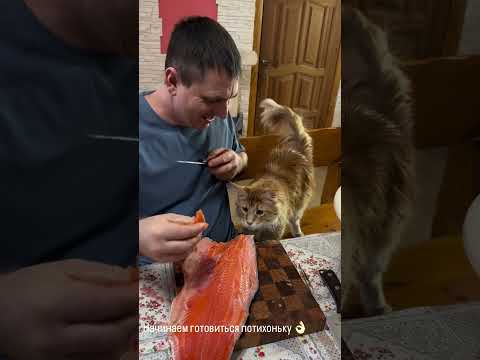#garden #жизньзагородом #рецепты #огород #shorts #petrovchanka_lera #petrovchanka