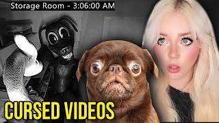 PUPPY WATCHES SCARY CURESD VIDEOS AT 3AM...