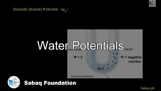 Water Potentials