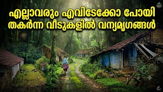 500ൽ കൂടുതൽ കുടുംബങ്ങൾ ഉണ്ടായിരുന്ന ഗ്രാമം, ഇന്ന് ശൂന്യത മാത്രം.. 