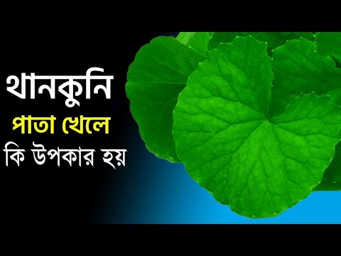 অনিদ্রা,বাত,আলসার, মুত্র নালী এবং হজমের সমস্যা দূর করার সহজ ঘরোয়া উপায় - থানকুনির উপকারিতা