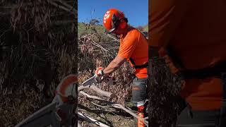 STIHL GTA 30 Battery Pruner