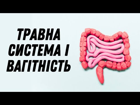 Травна система і вагітність #doctorberezovska #olenaberezovska #вагітність