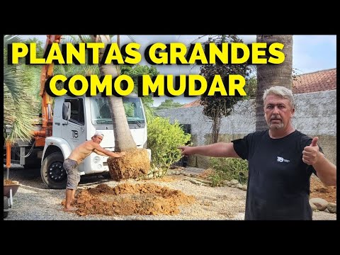 COMO FAZER JARDIM PLANTAS GRANDES CUSTO BAIXO (ECONOMIZE E APRENDA)