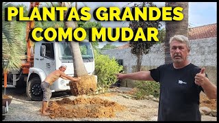 COMO FAZER JARDIM PLANTAS GRANDES CUSTO BAIXO (ECONOMIZE E APRENDA)