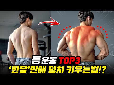 일반인이 ‘등운동’하면 무조건 벌크업 됩니다! [등운동 모음집]