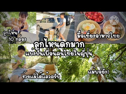 EP.51กินข้าวใต้ต้นลูกไหนกันแม่ทำอาหารไทยอร่อยให้2พ่อลูกความส