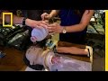 Emergency Medical Preparedness and Procedures
