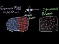 Magnetic Properties and Materials