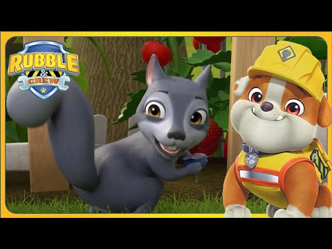 Motor and Rubble Build a Squirrel Farm 🐿 | Rubble and Crew | PAW Patrol | Cartoons for Kids
