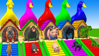 Long Slide Game With Elephant Gorilla Buffalo Hippopotamus Tiger - 3d Animal Game - Funny 3d Animals