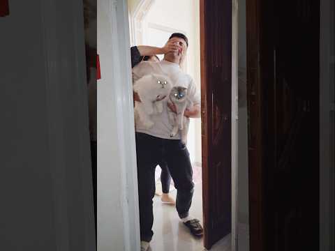 My husband wants to play with our neighbor Lady 😡 #shortstürkiye