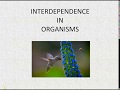 Ecosystem Dynamics and Interdependence