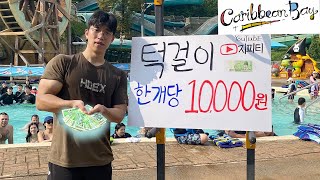 턱걸이 1개당 10,000원을 드립니다 (캐리비안베이)