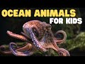 Exploring Ocean Life: Animals and Plants Underwater