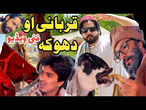 Qurbani Ao Dhoka Funny Video By PK Plus Vines 2025