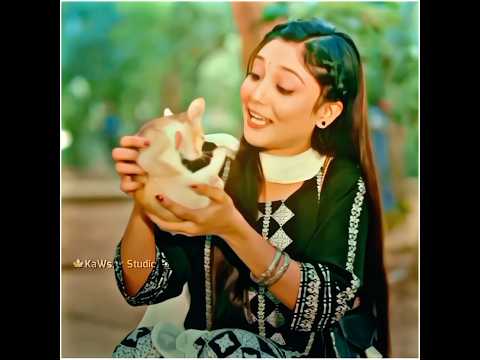 part-5+)কি খিদা লাগছে তোমায় দাঁড়াও#whatsappstatus #shorts #trending #newnatok
