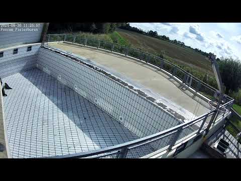 Seals live (4K) @ Seal Rehabilitation and Research Centre (Pieterburen, The Netherlands)