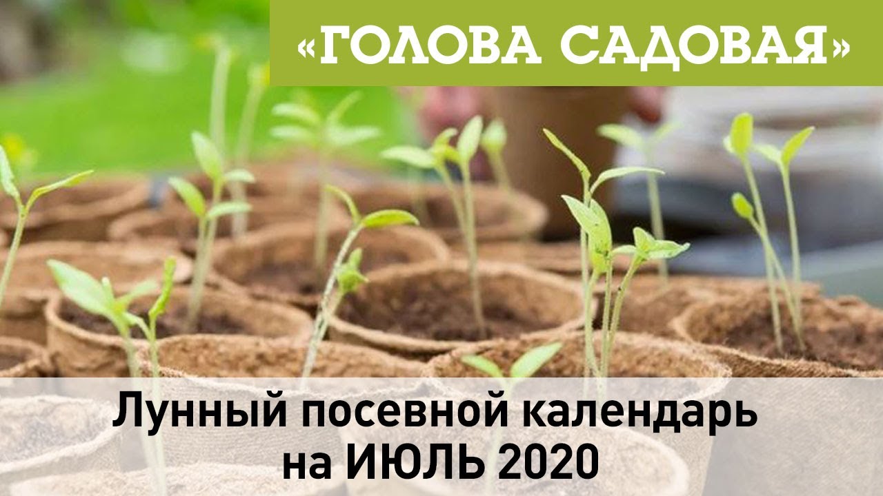Лунный посевной календарь на ИЮЛЬ 2020