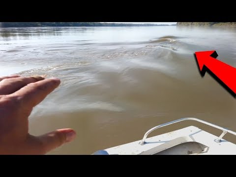 Dikira Cuma Mitos!! Terekam Jelas! Asyik Mancing, Pria ini Kaget Lihat Sosok ikan Raksasa ini!