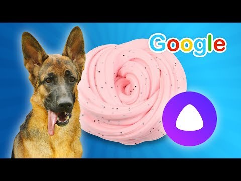 ЯНДЕКС АЛИСА И GOOGLE ПРОТИВ ЭРИКИ! ОНИ СГОВОРИЛИСЬ? / Собака делает слайм из случайных ингредиентов