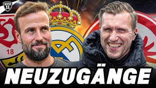 VfB-NEUZUGANG von REAL! FRANKFURT holt OFFENSIV-STAR! | KickNews