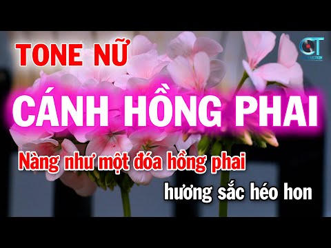 karaoke cánh hồng phai rumba tone nữ ( C#m ) karaoke làng hoa