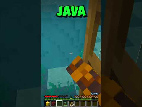 Java Vs Bedrock #shorts