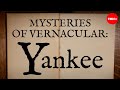 Understanding the Term 'Yankee'