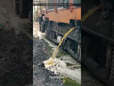 ये क्या हैं ?