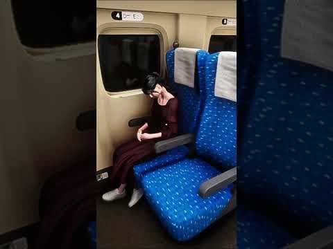 👆🏼👆🏼ความลับ อยู่ในคลิปนี้👆🏼👆🏼 รถไฟ ชุ่มฉ่ำ l Shinkansen 0