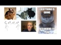 Genetics and Inheritance Concepts
